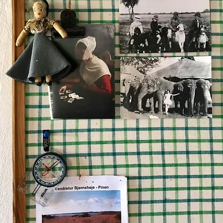 Nyaraló Lovely Tiny House On A Nature Plot Near Limfjord *